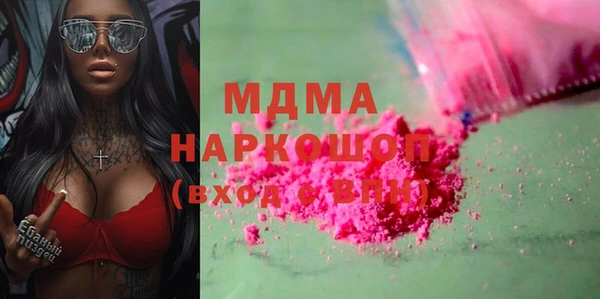 индика Алексин