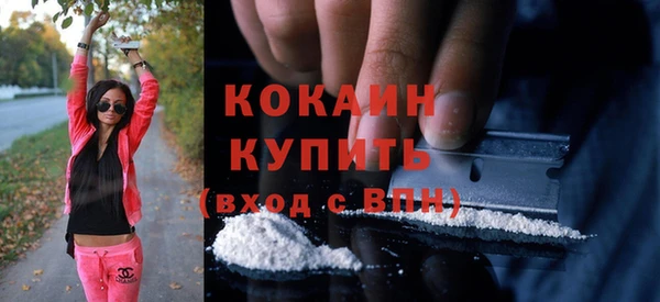 индика Алексин
