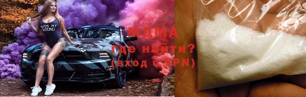 индика Алексин