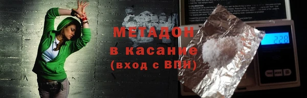 индика Алексин