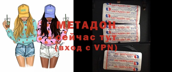 индика Алексин