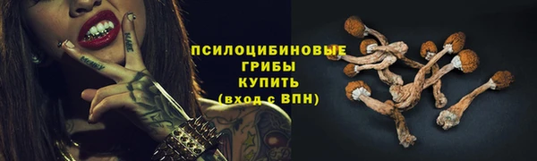 не бодяженный Алзамай