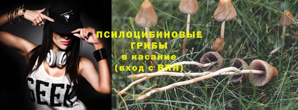 гидропоника Алексеевка