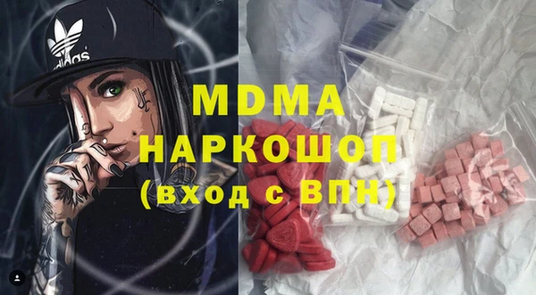 индика Алексин
