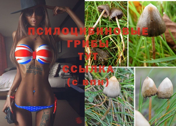 дмт Абинск
