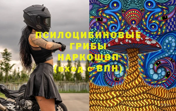 индика Алексин