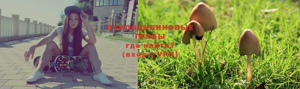 не бодяженный Алзамай