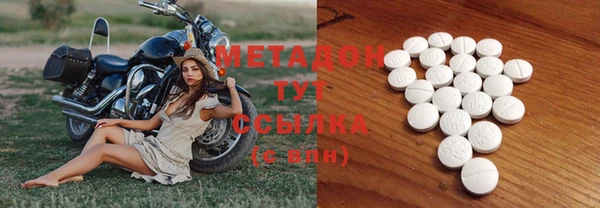 индика Алексин