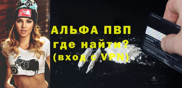 индика Алексин