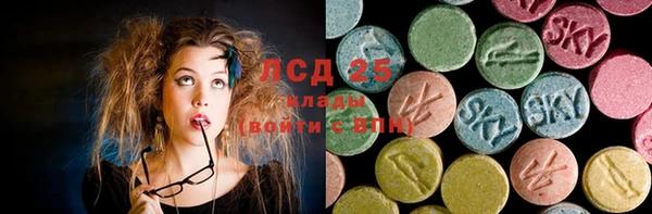 индика Алексин