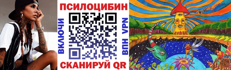 купить Гаврилов Посад Псилоцибиновые грибы Psilocybe